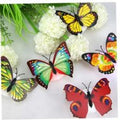 Radiant 3-Inch LED Butter-fly Wall Decor (Pack of 1, includes 2 butterflies